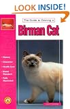 The Guide to Owning a Birman Cat