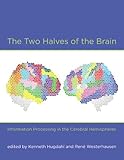 The two halves of the brain : information processing in the cerebral hemispheres