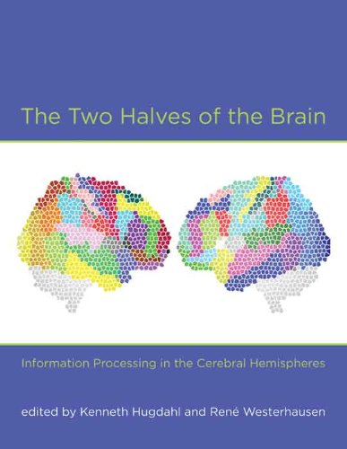 The Two Halves of the Brain (MIT Press)