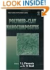 Polymer-Clay Nanocomposites (Wiley Series in Polymer Science)