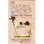 Dogs of the World (The Natural World Playing Card Collection)