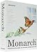 Datawatch MONARCH PRO V7.0 SINGLE USER ( FPP32C070-F01 )