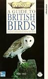 Review Channel 4 Video  / Wings: A Guide To British Birds - Part 2