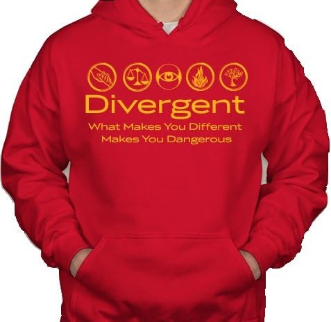 Divergent What Makes You Different Makes You Dangerous Factions Dauntless Amity Erudite Candor Abnegation Pullover Hoodie Sweater (Small, Red w/ Gold)