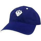 HAT CAP WASHINGTON LEE GENERALS W&L BLUE WHITE LICENSED NCAA GARMENT WASH GAME