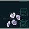 Japanewave�@1980X