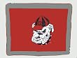 Georgia - Pillow Sham - SEC Conference