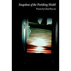 Snapshots of the Perishing World
