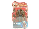 Review SOTA  / Street Fighter Round 4 Birdie Action Figure
