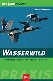 Buch