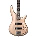 Ibanez SR300 Electric Bass Guitar (Champagne Gold)