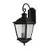 Murray Feiss OL5701BK Woodside Hills Collection 2-Light Exterior Wall Sconce, Black Finish and Seedy Glass