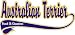 Australian Terrier Breed of Champion Apron