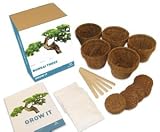 Grow It - Bonsai
