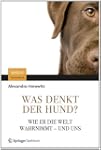Was denkt der Hund?: Wie er die Welt...