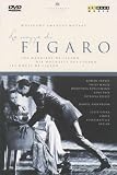 Buy : Mozart: Le Nozze di Figaro (The Marriage of Figaro) -- Berlin/Barenboim [DVD] [2000]