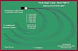 Firefly Lights by Firefly Magic - 12 Electronic Fireflies Powered by 3-AA Alkaline Batteries (Model FMB-12)