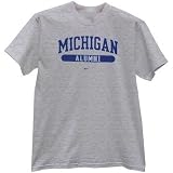 Nike Michigan Wolverines Ash Alumni T-shirt