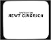 I voted for Newt Gingrich Decorated Mouse Pad