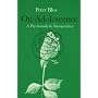 On Adolescence