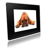 Pictorea Pro 15  Digital Photo Frame (Clear Acrylic & Black Mount) MP3/Movies/Jpeg & Remote With Zero Dead Pixel Warranty