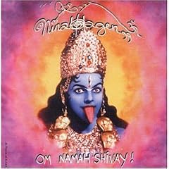 Om Namah Shivay