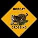 Bobcat -- Full Color 16