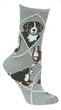 Bernese Mountain Dog Cotton Dog Puppy Breed Animal Socks 9-11