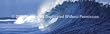 Window Graphic - 20x65 Wave 3 Window Graphics Surf n Snow