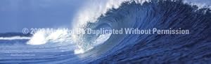 Window Graphic - 20x65 Wave 3 Window Graphics Surf n Snow