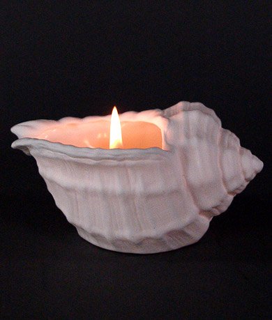 Murex Porcelain Tealight