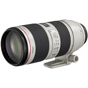 Canon EFレンズ EF70-200mm F2.8L IS II USM ズームレンズ 望遠