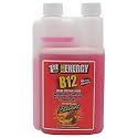 Liquid B-12 Tropical Blast 16-Ounce
