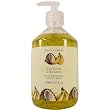 Asquith Somerset Tropical Fruits Anti-Bacterial Liquid Soap in Pump Dispenser, 500 ml 17 fl oz, Coconut Banana