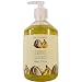 Asquith Somerset Tropical Fruits Anti-Bacterial Liquid Soap in Pump Dispenser, 500 ml 17 fl oz, Coconut Banana