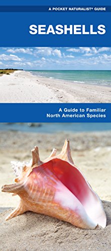 Seashells: A Folding Pocket Guide to Familiar North American Species (Pocket Naturalist Guide Series)