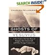 Ghosts of Vesuvius: A New Look at the Last Days of Pompeii, How Towers Fall, and Other Strange Connections by  Charles R. Pellegrino