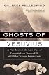 Ghosts of Vesuvius: A New Look at the Last Days of Pompeii, How Towers Fall, and Other Strange Connections