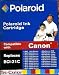 Office Products : Polaroid's Canon BCI-21C-Compatible Tri-Color Ink Cartridge