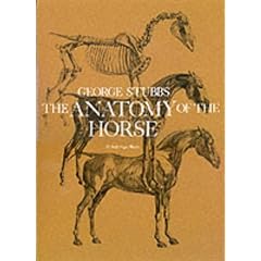 The Anatomy of the Horse