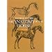 The Anatomy of the Horse