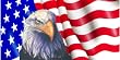 Airbrushed License Plate - American Flag/Eagle License Plate - #1514A