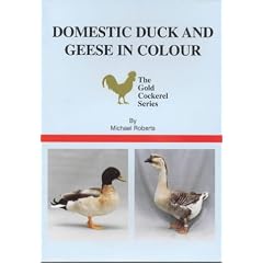 Domestic Duck and Geese in Colour (The Gold Cockerel Series)