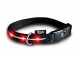 Pet Supplies : New Version: Large - Red LED Visiglo Lighted Dog Collar (16 - 26')