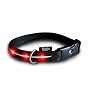 New Version: Large - Red LED Visiglo Lighted Dog Collar (16 - 26")