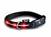 Pet Supplies : New Version: Large - Red LED Visiglo Lighted Dog Collar (16 - 26")