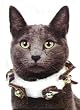 Pet Costume- Furry Jingle Collar- Cat - PET-42950
