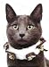 Pet Costume- Furry Jingle Collar- Cat - PET-42950