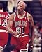 Dennis Rodman Chicago Bulls 8x10 Photo