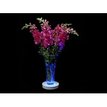 Fortune Products LB-RGBW-6 Super Bright 40 LED Light Base, 6-1/8" Diameter x 1-1/8" Height, Multi-Color